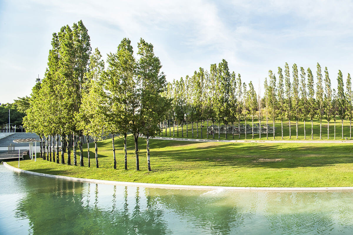 Public park featuring a grassy hill with circular rows of trees and artificial lake