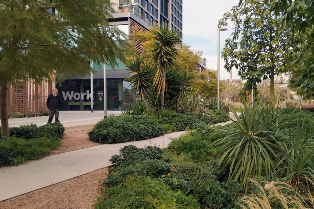 Barcelona’s Superblocks and Green Axes, a Pathway Towards a More