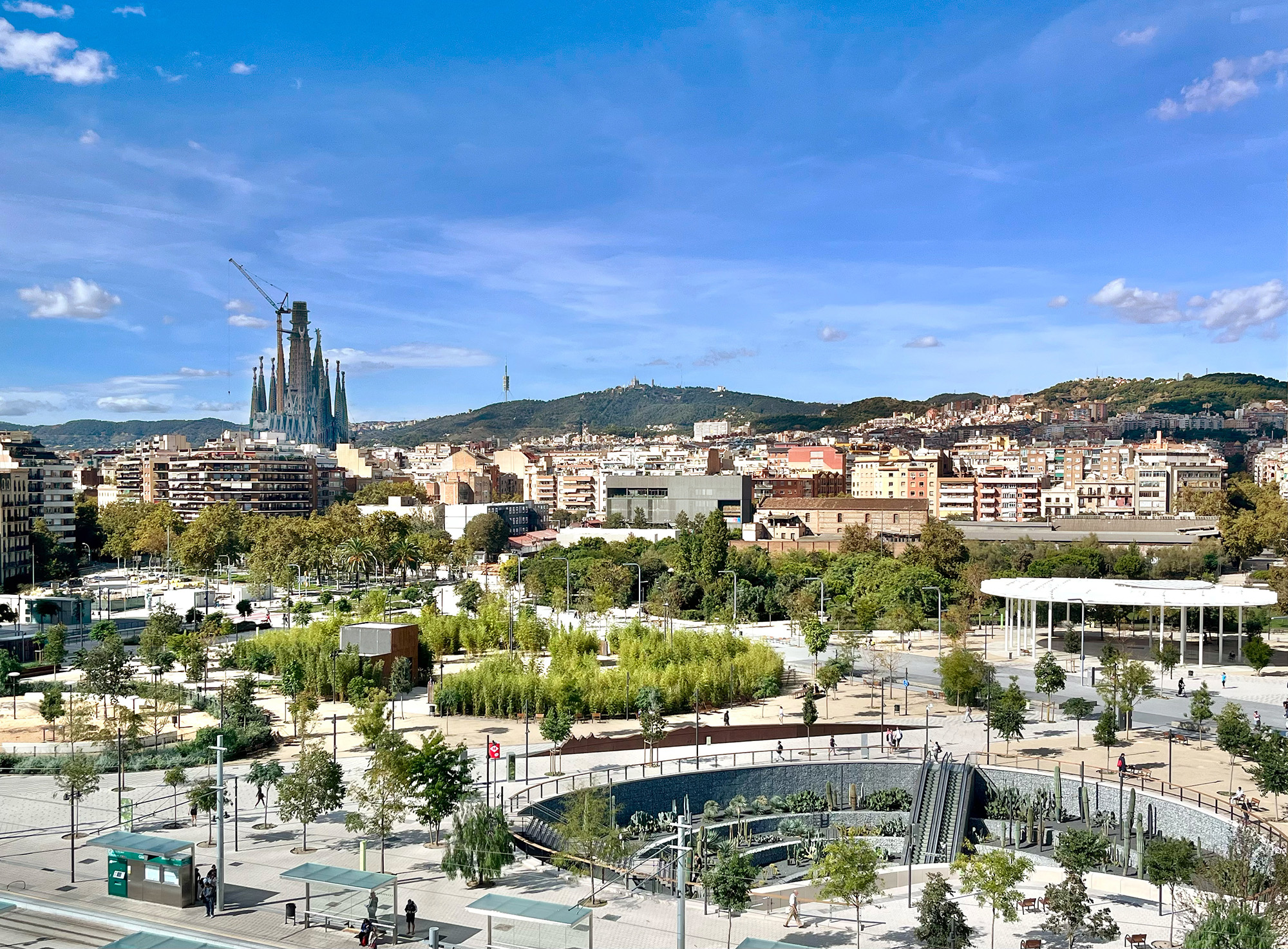 Plac?a de les Glo?ries_Canopia Urbana_©Lorenzo Ka?ra?sz_GA Barcelona